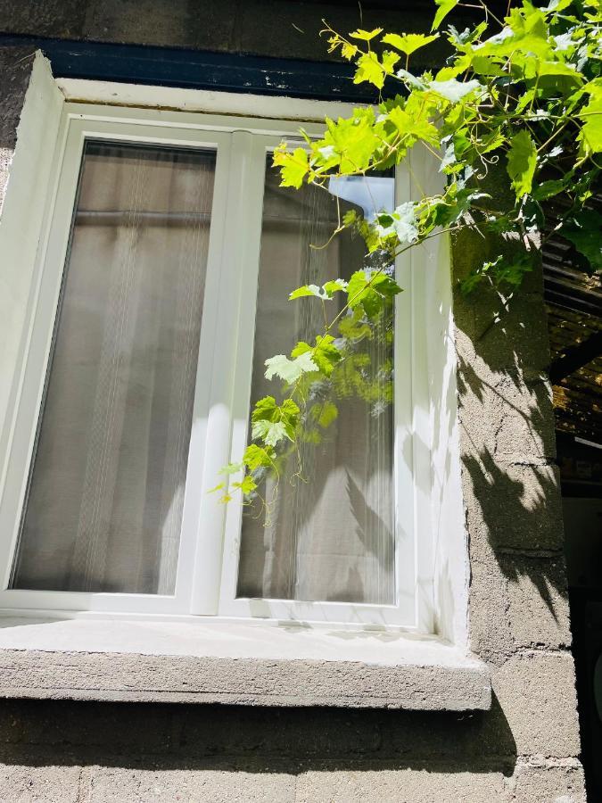 Studio Independant De 25M2 Lägenhet Vitry-sur-Seine Exteriör bild